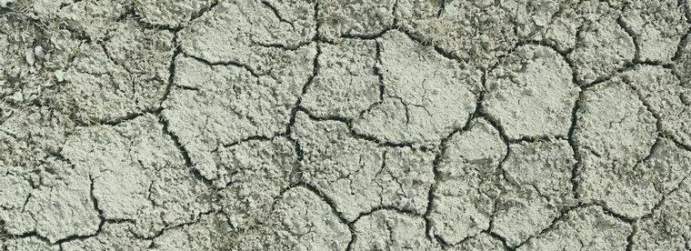 Terra screpolata dal sole: l'argilla che asciuga
