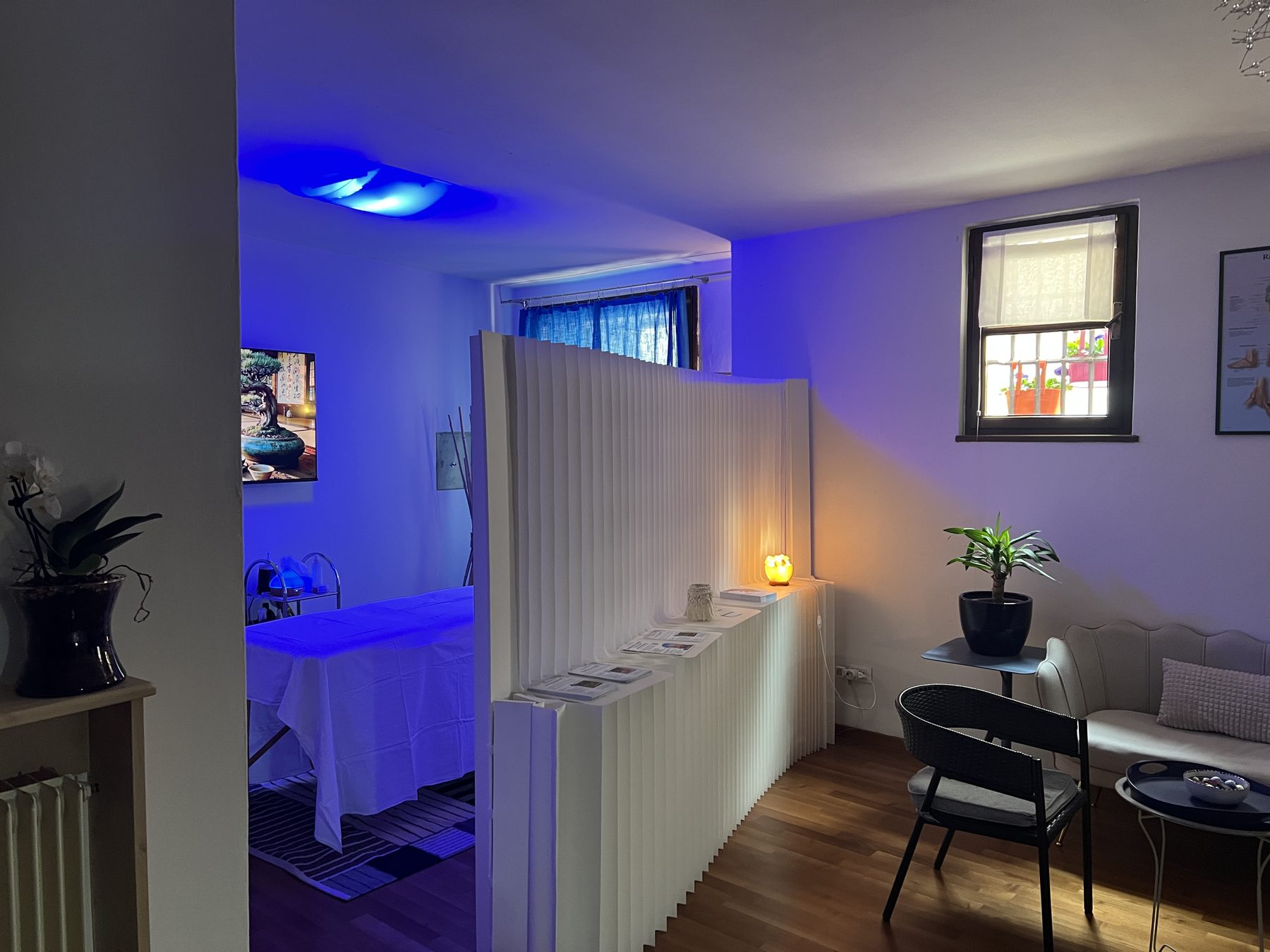 Studio di Trento — accoglienza